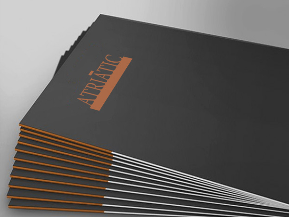 Dise�o de carpeta corporativa elegante