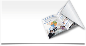 Dise�o de cat�logos en Barcelona, dise�o de cat�logos corporativos Barcelona