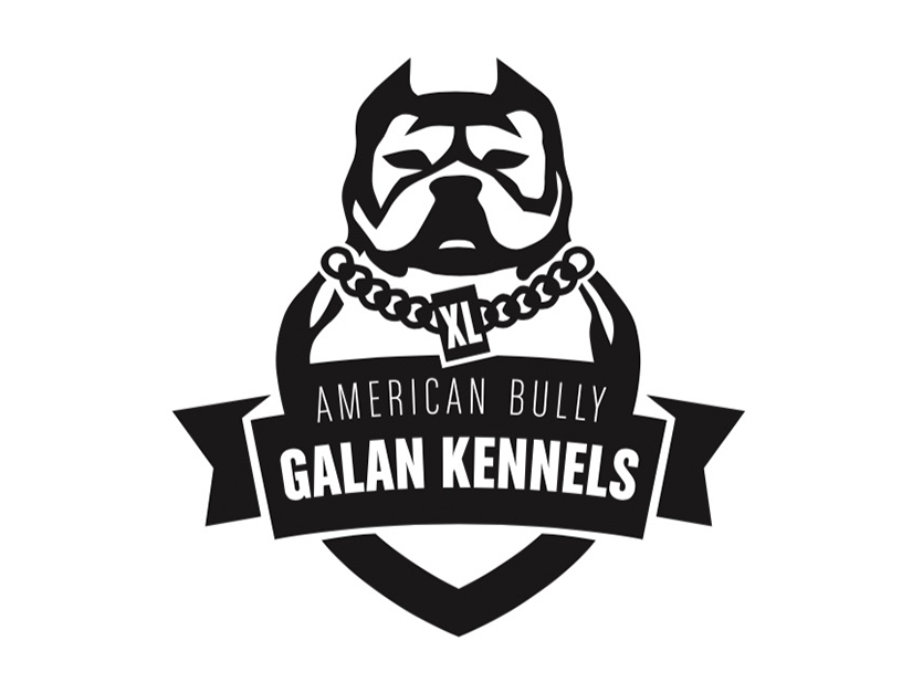 Diseño de logotipos para tienda de animales Barcelona