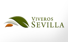 Viveros sevilla, agencia diseño gráfico Barcelona